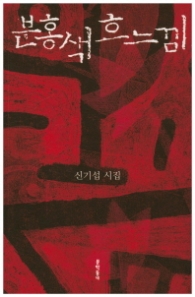 분홍색 흐느낌 (문학동네 빅이벤트)